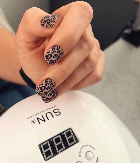Design pour les ongles courts 2021: nouvelle manucure, idées de photo