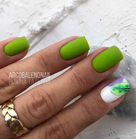 Beaux ongles mats: design, nouvelle manucure sur la photo