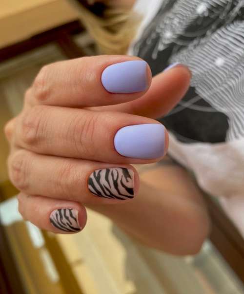 Manucure Zebra 2021: photo, nouveau design spectaculaire
