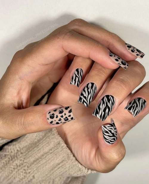Manucure Zebra 2021: photo, nouveau design spectaculaire