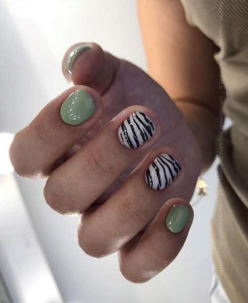 Manucure pour ongles courts avec zèbre