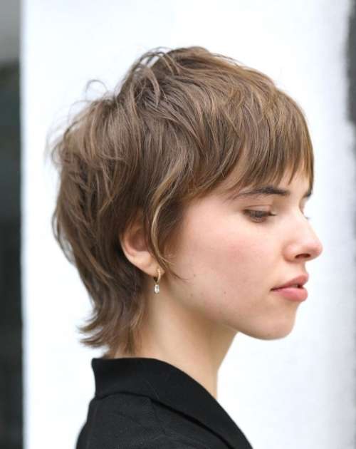 Coupe de cheveux Mallet 2022 : de nouvelles photos pour différentes longueurs de cheveux