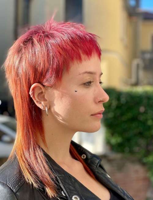 Coupe de cheveux Mallet 2022 : de nouvelles photos pour différentes longueurs de cheveux