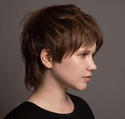 Coupe de cheveux Mallet 2022 : de nouvelles photos pour différentes longueurs de cheveux
